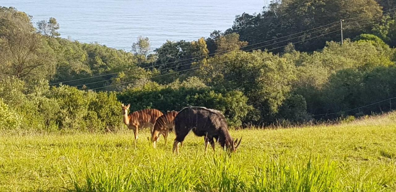 Hakuna Matata ワイルダーネス エクステリア 写真